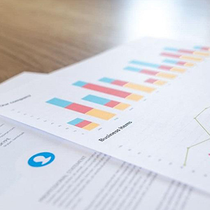 Yeminli Finansal Terc�me